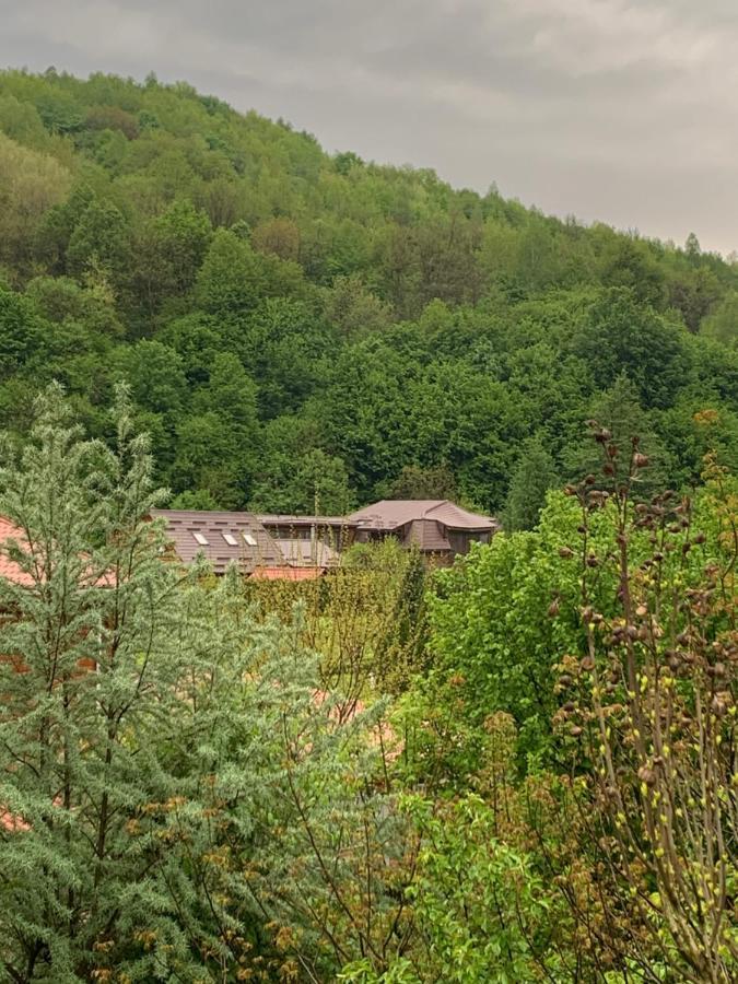 Будинок В Горах Polyana  Exterior photo